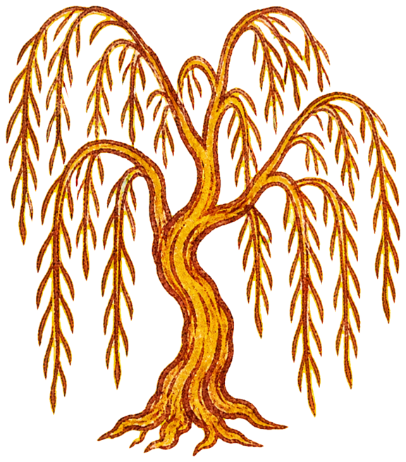 A hand-drawn willow tree with a crooked trunk and long drooping branches.